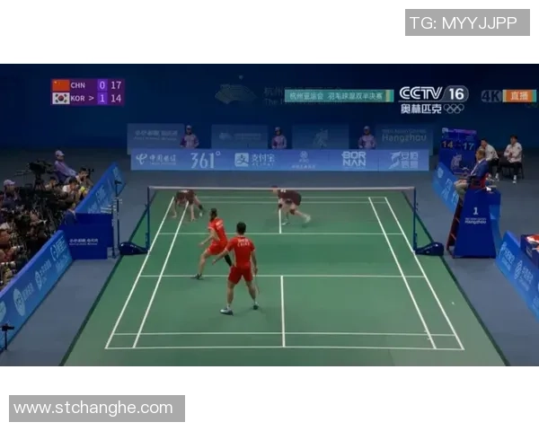 杭州羽毛球队配合技巧深度对比与战术分析