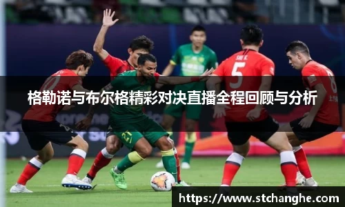 格勒诺与布尔格精彩对决直播全程回顾与分析